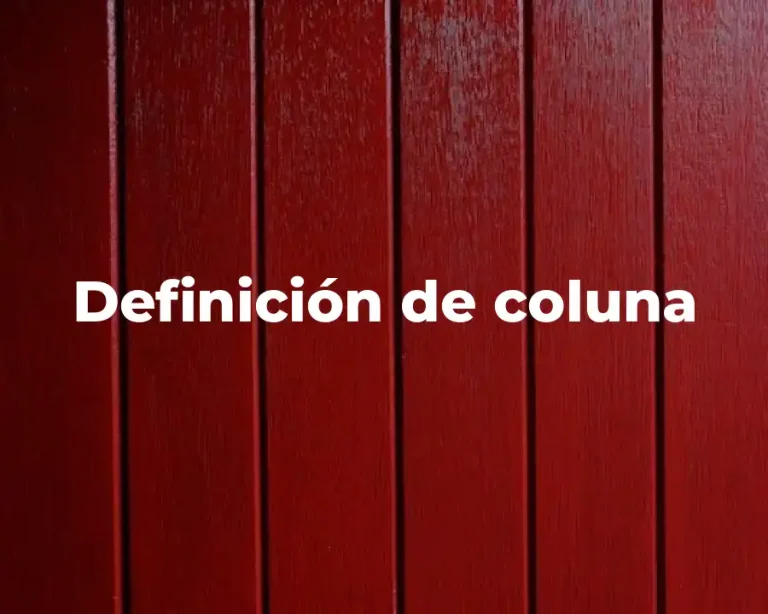 Definición de coluna