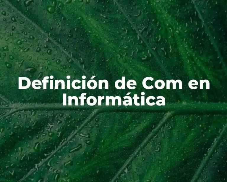Definición de Com en Informática