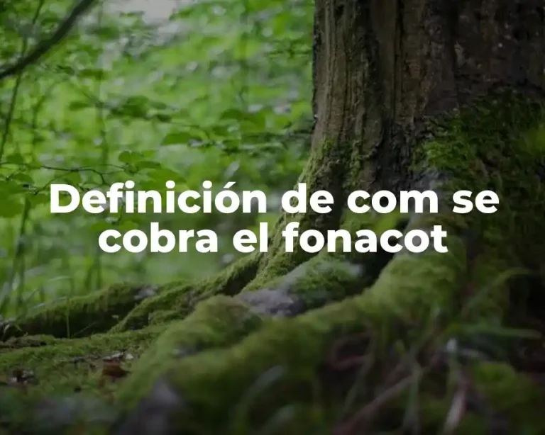 Definición de com se cobra el fonacot