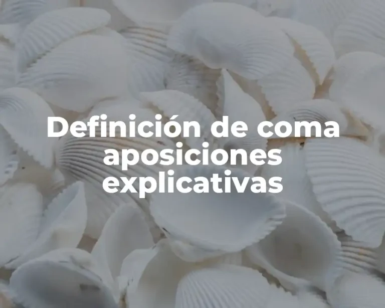 Definición de coma aposiciones explicativas