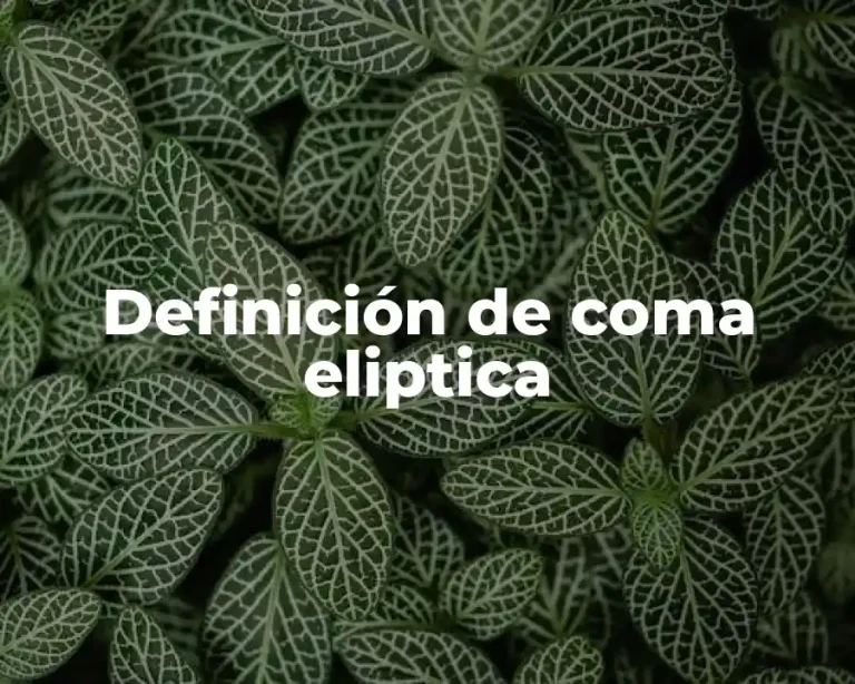 Definición de coma eliptica