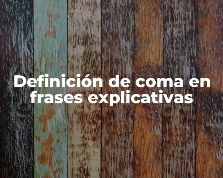 Definición de coma en frases explicativas