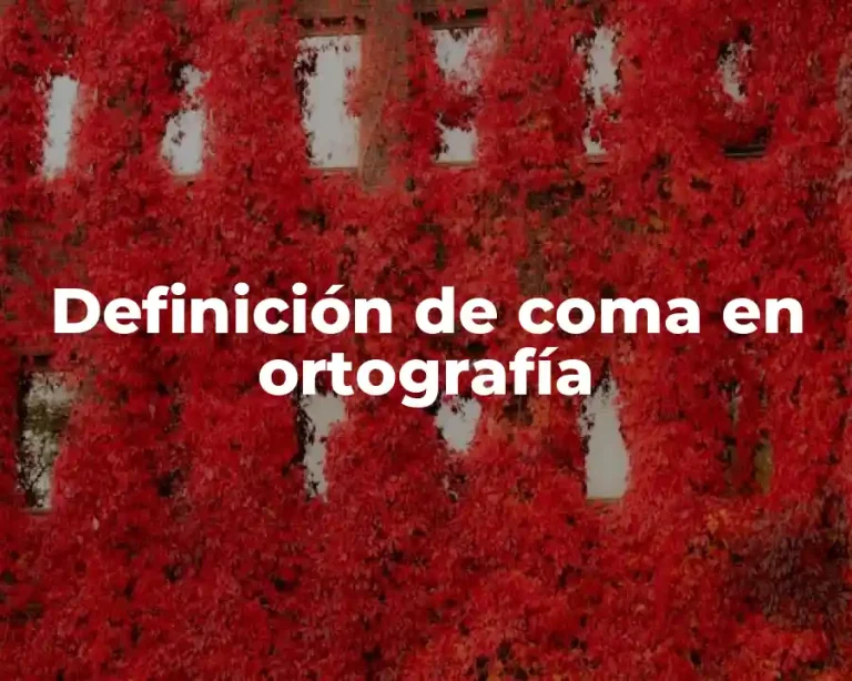 Definición de coma en ortografía