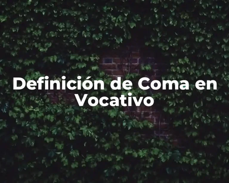 Definición de Coma en Vocativo
