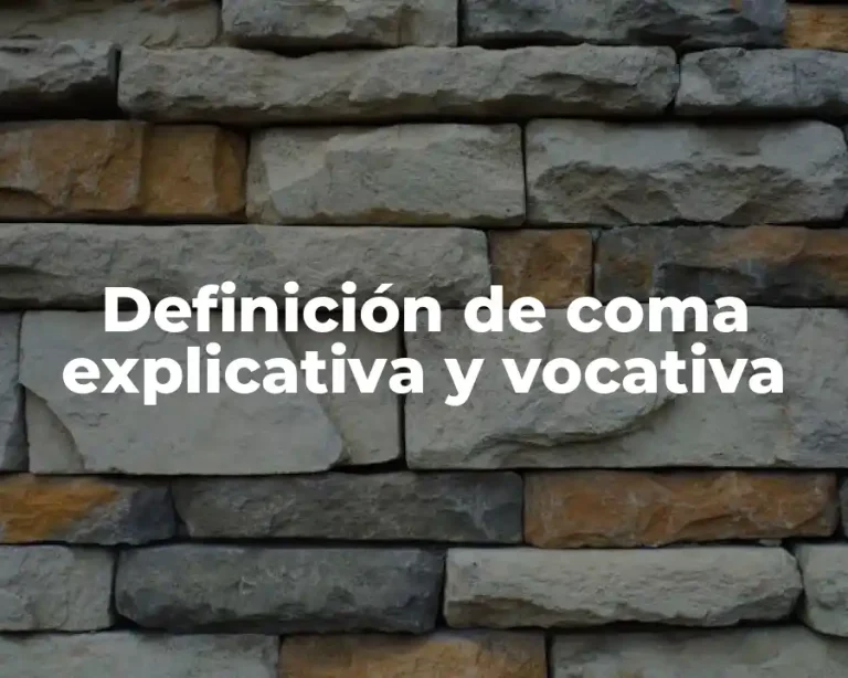 Definición de coma explicativa y vocativa