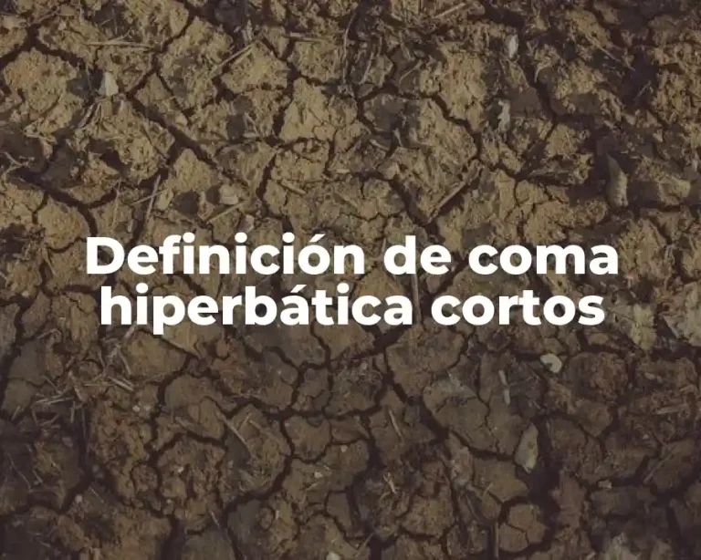 Definición de coma hiperbática cortos