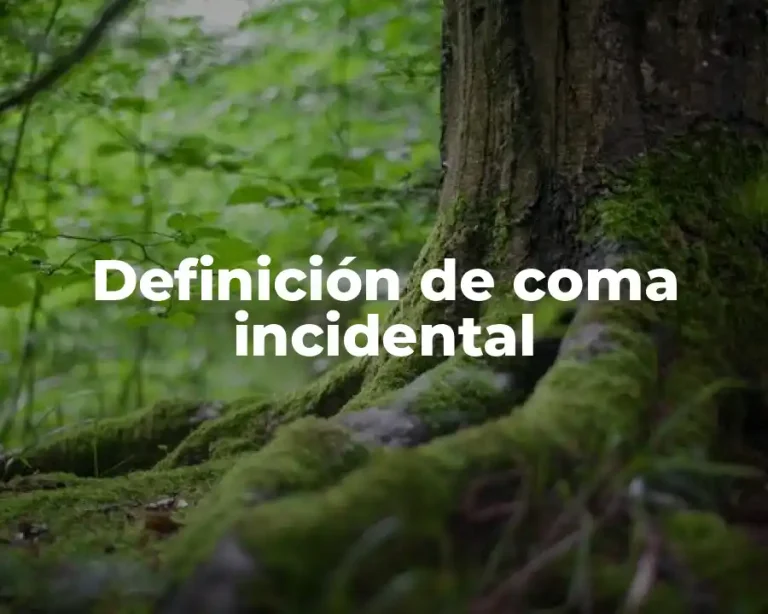 Definición de coma incidental