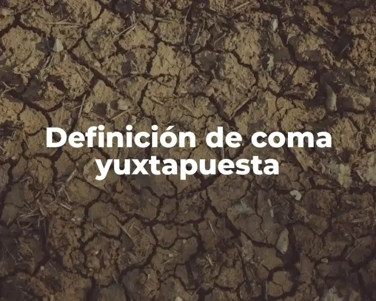 Definición de coma yuxtapuesta