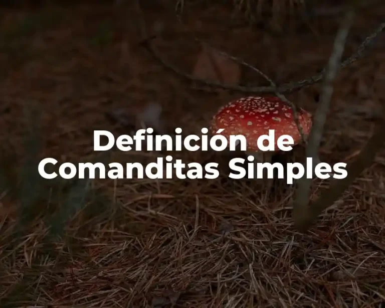 Definición de Comanditas Simples