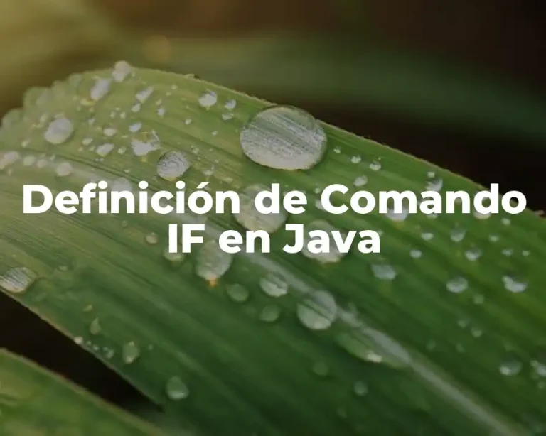 Definición de Comando IF en Java