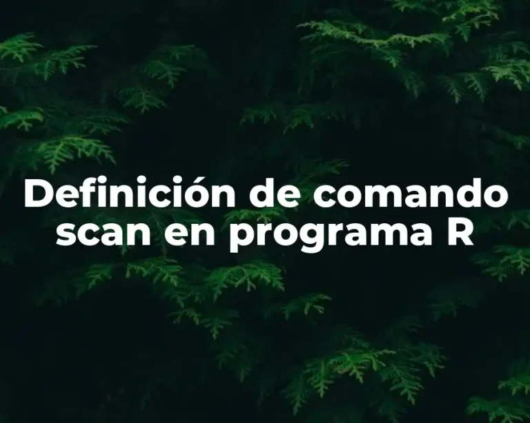 Definición de comando scan en programa R