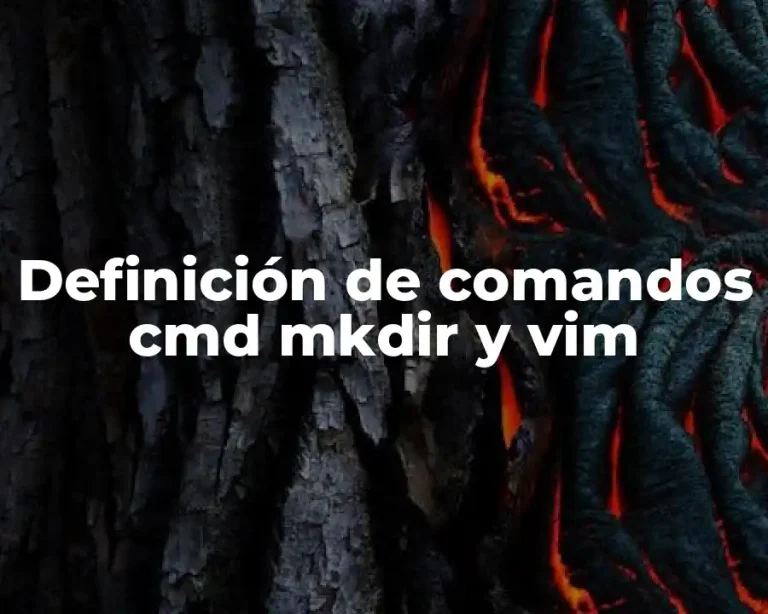 Definición de comandos cmd mkdir y vim