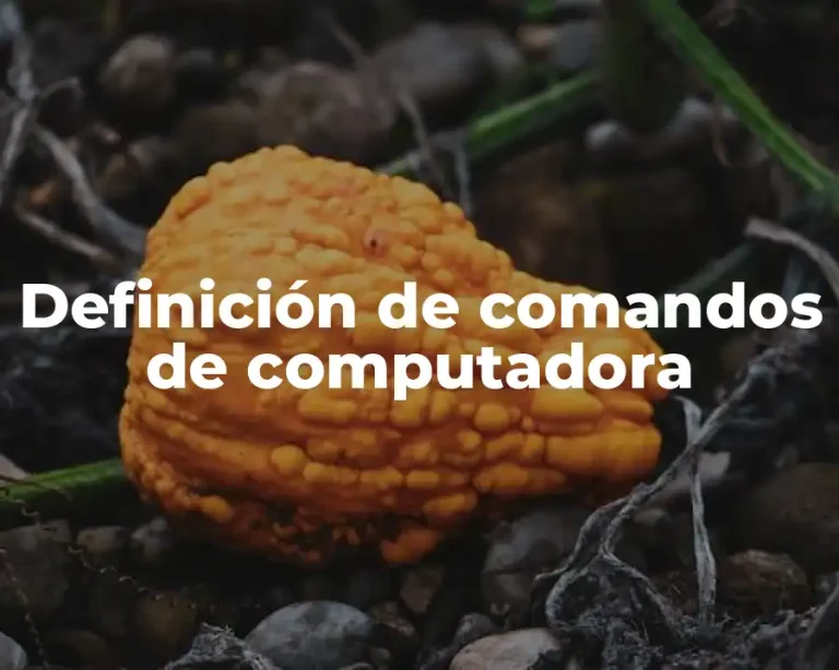 Definición de comandos de computadora