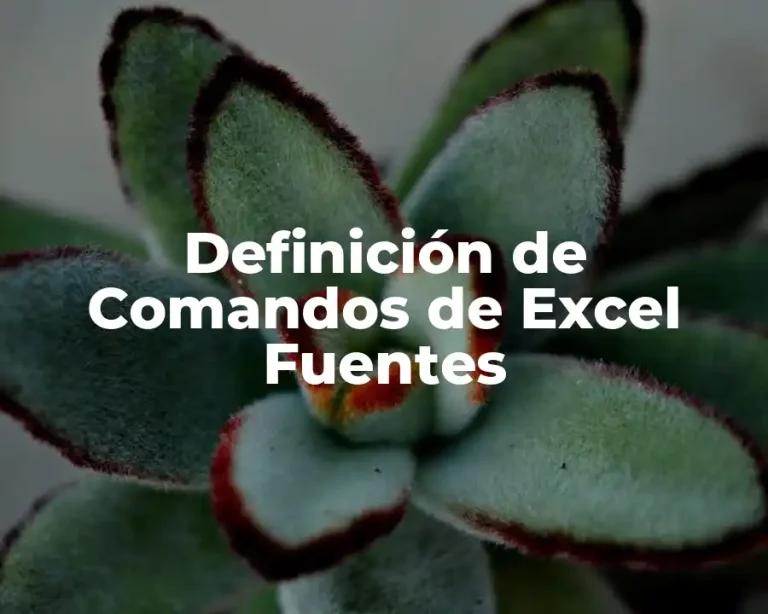 Definición de Comandos de Excel Fuentes