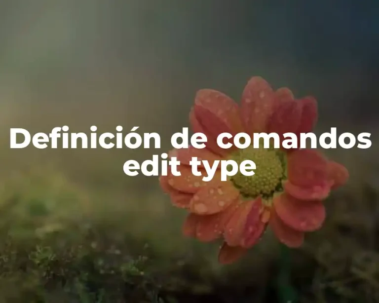Definición de comandos edit type