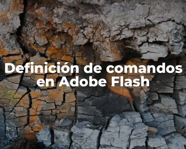 Definición de comandos en Adobe Flash