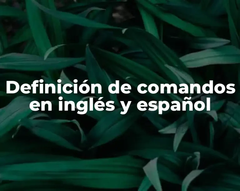 Definición de comandos en inglés y español