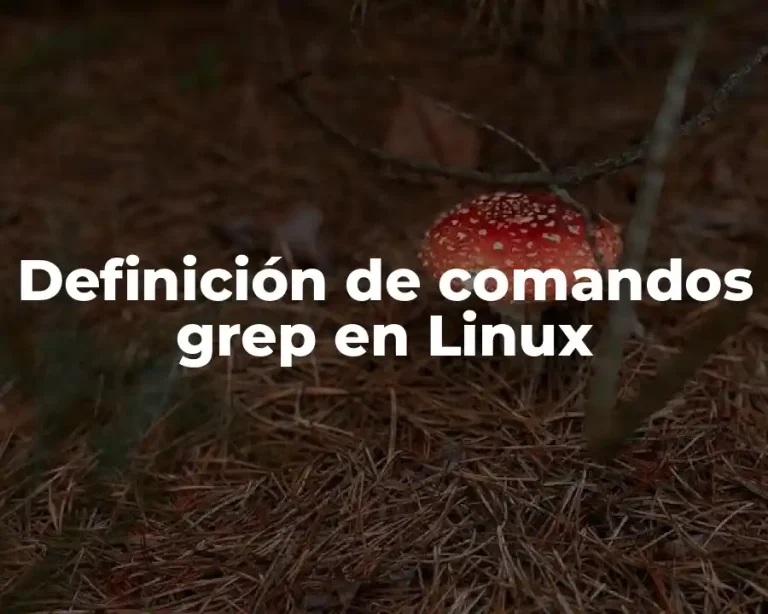 Definición de comandos grep en Linux