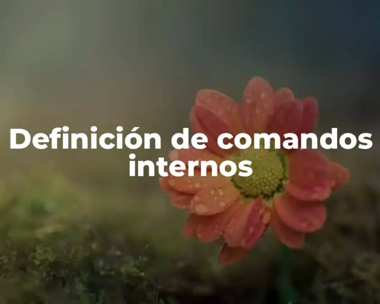 Definición de comandos internos