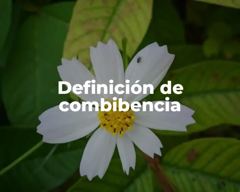 Definición de combibencia