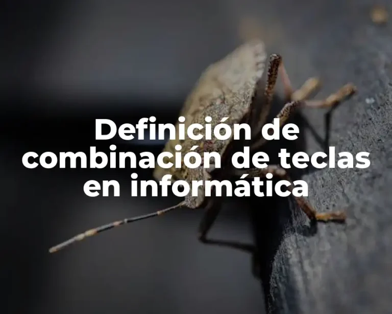 Definición de combinación de teclas en informática