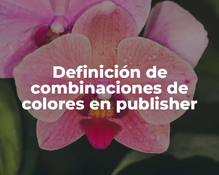 Definición de combinaciones de colores en publisher