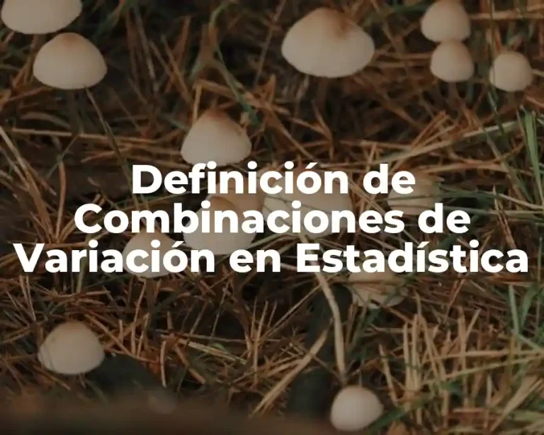 Definición de Combinaciones de Variación en Estadística