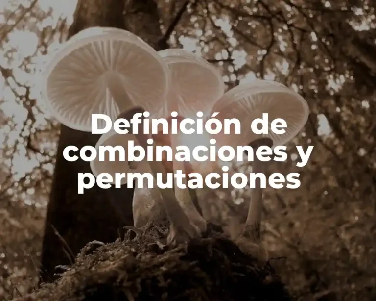 Definición de combinaciones y permutaciones