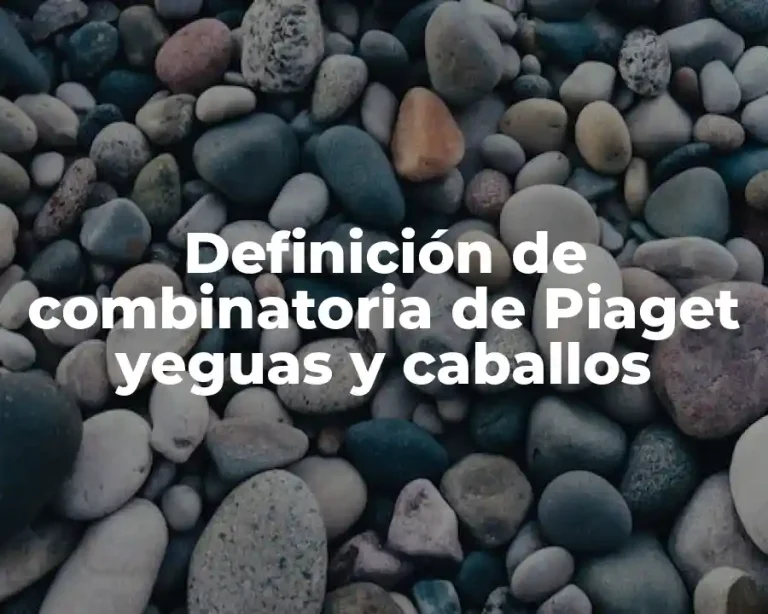 Definición de combinatoria de Piaget yeguas y caballos