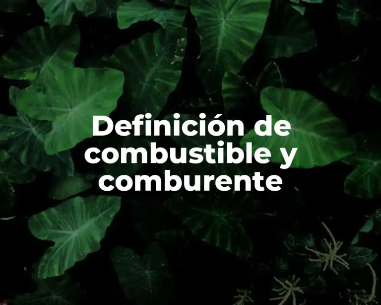 Definición de combustible y comburente