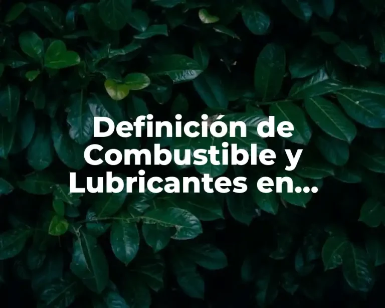 Definición de Combustible y Lubricantes en Contabilidad