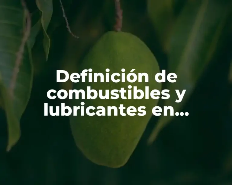 Definición de combustibles y lubricantes en contabilidad