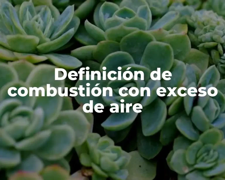 Definición de combustión con exceso de aire