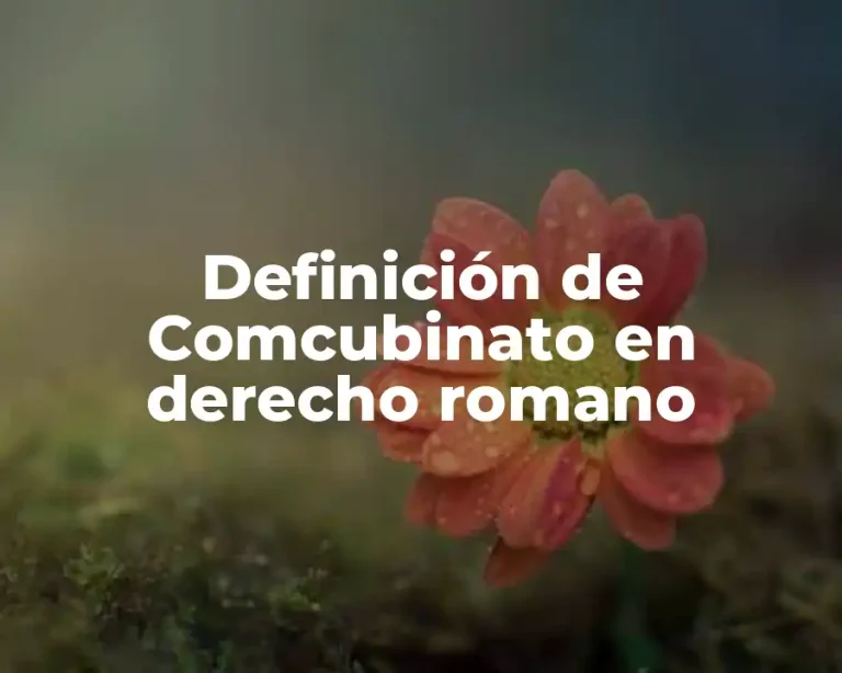 Definición de Comcubinato en derecho romano