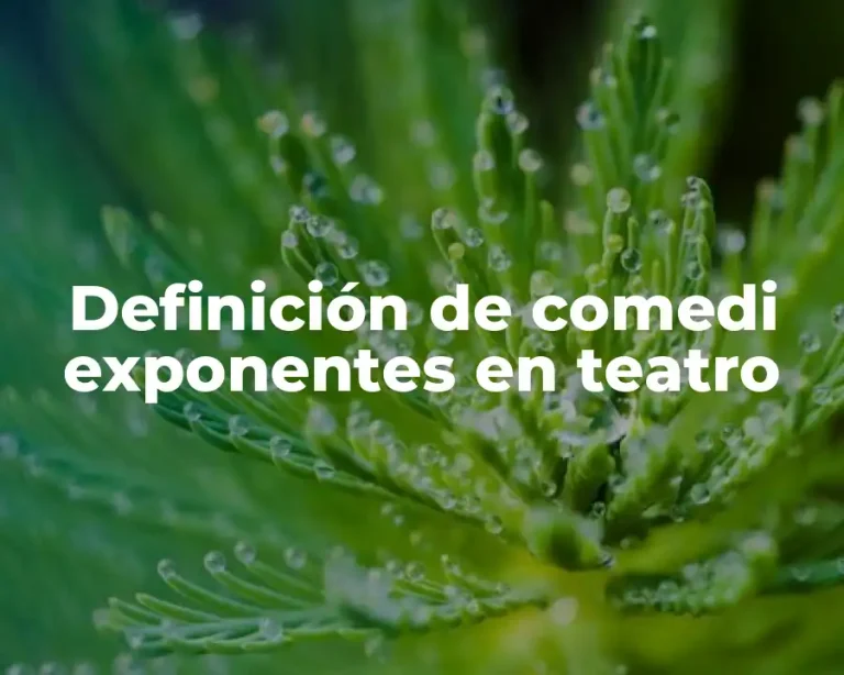 Definición de comedi exponentes en teatro