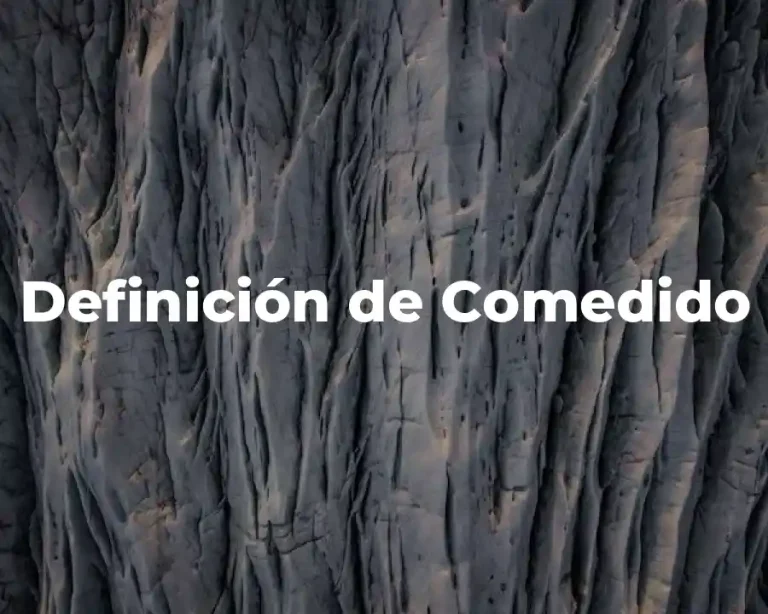 Definición de Comedido