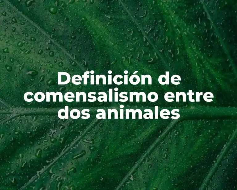 Definición de comensalismo entre dos animales
