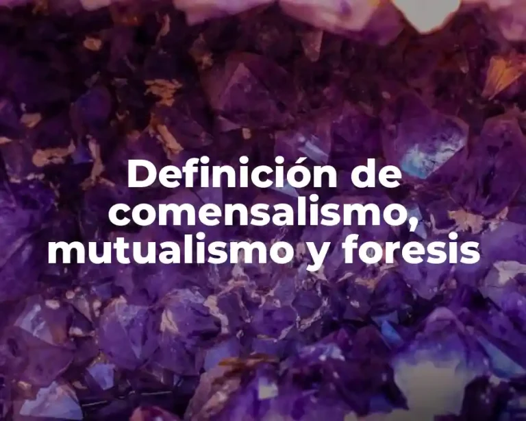 Definición de comensalismo, mutualismo y foresis