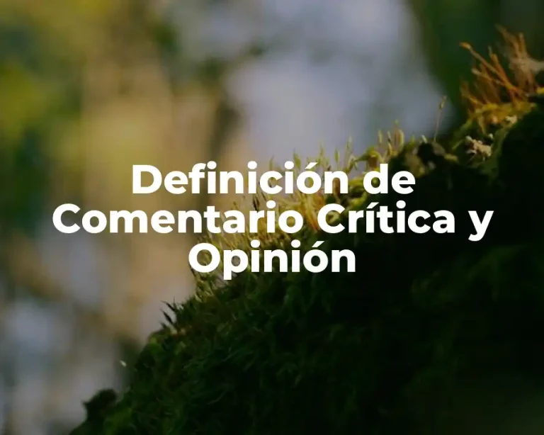 Definición de Comentario Crítica y Opinión