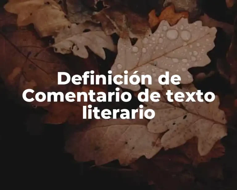 Definición de Comentario de texto literario