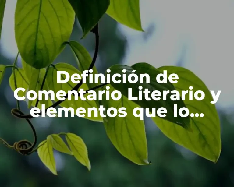 Definición de Comentario Literario y elementos que lo conforman