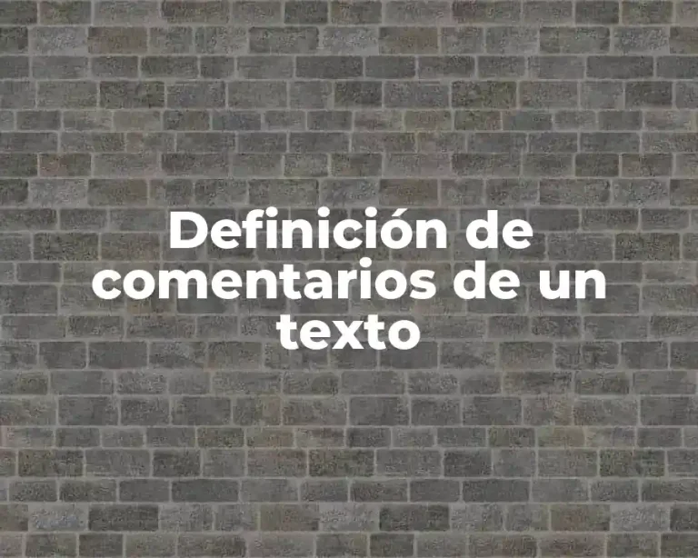Definición de comentarios de un texto