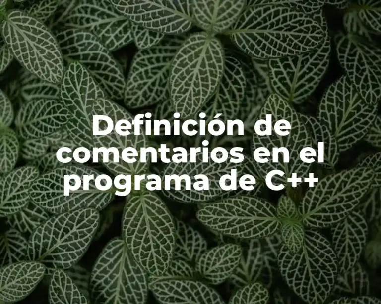 Definición de comentarios en el programa de C++