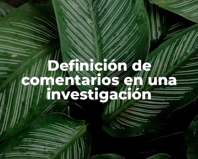 Definición de comentarios en una investigación
