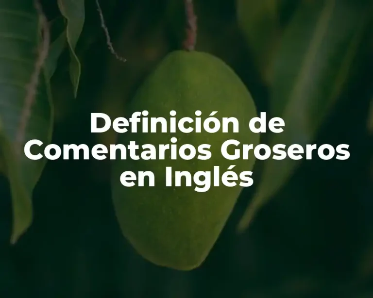 Definición de Comentarios Groseros en Inglés