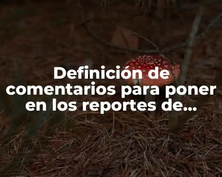 Definición de comentarios para poner en los reportes de evaluación