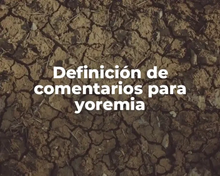 Definición de comentarios para yoremia