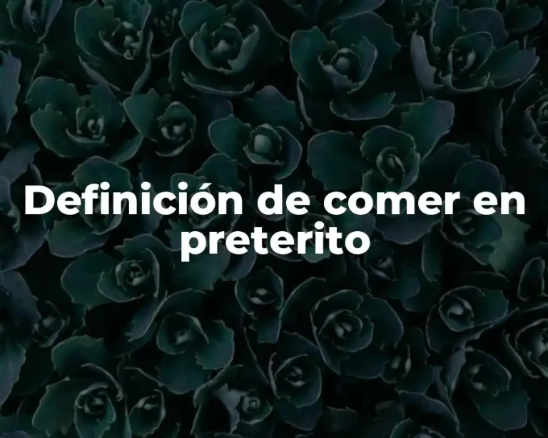 Definición de comer en preterito