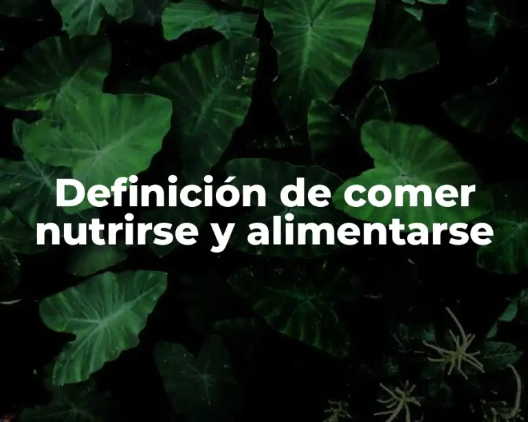 Definición de comer nutrirse y alimentarse