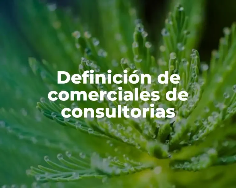 Definición de comerciales de consultorias